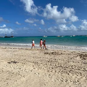 Rosas De Pensión Punta Cana